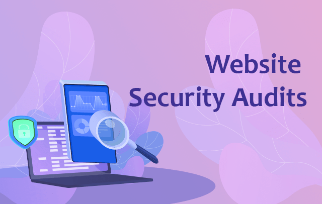 Website Security Audits